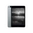 Sell My iPad Mini 4 Cellular + Wifi